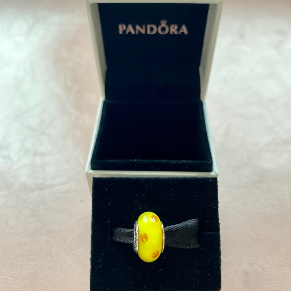 Pandora Murano glass charm